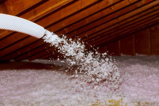 Best Attic Insulation Installation  in Johnston City, IL