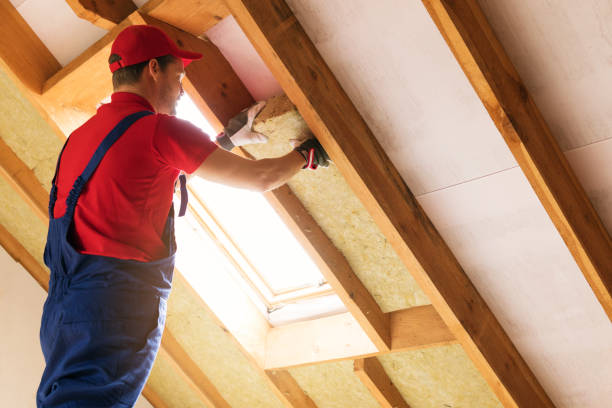 Best Commercial Insulation Services  in Johnston City, IL